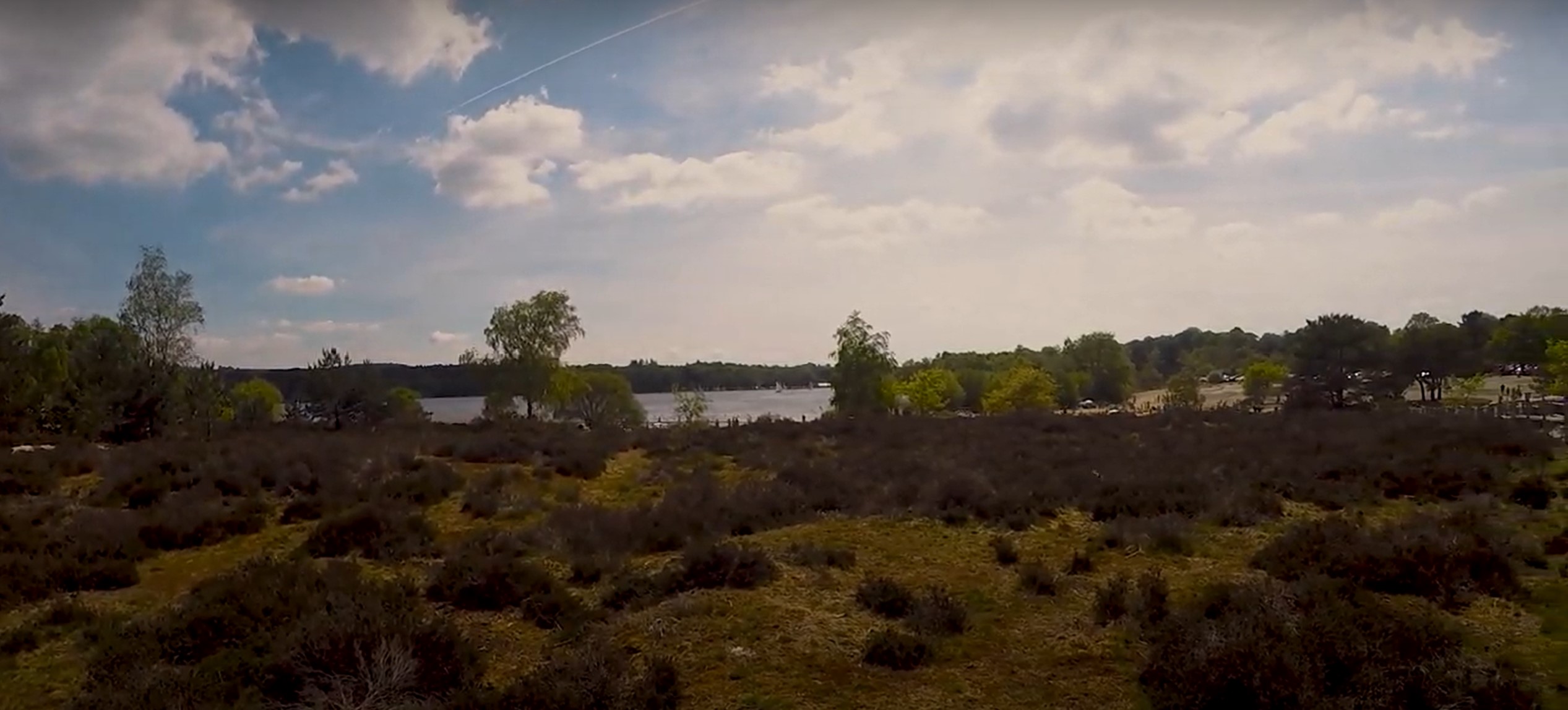 Frensham Great Pond Beach View
