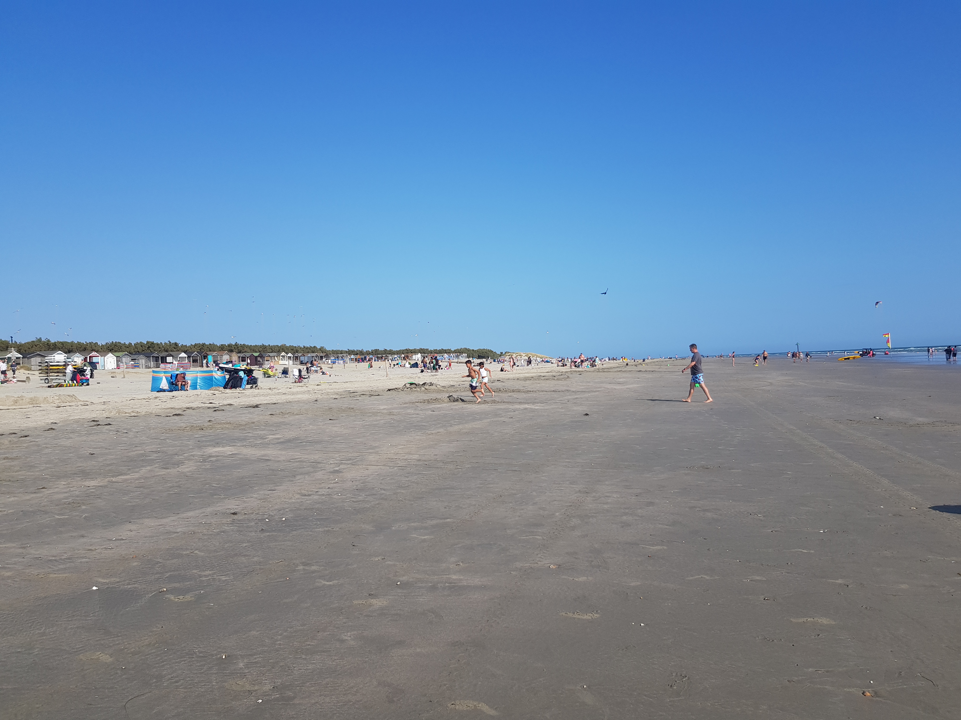 Beach View